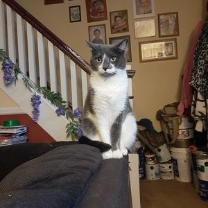 Meet your Posher, Clay